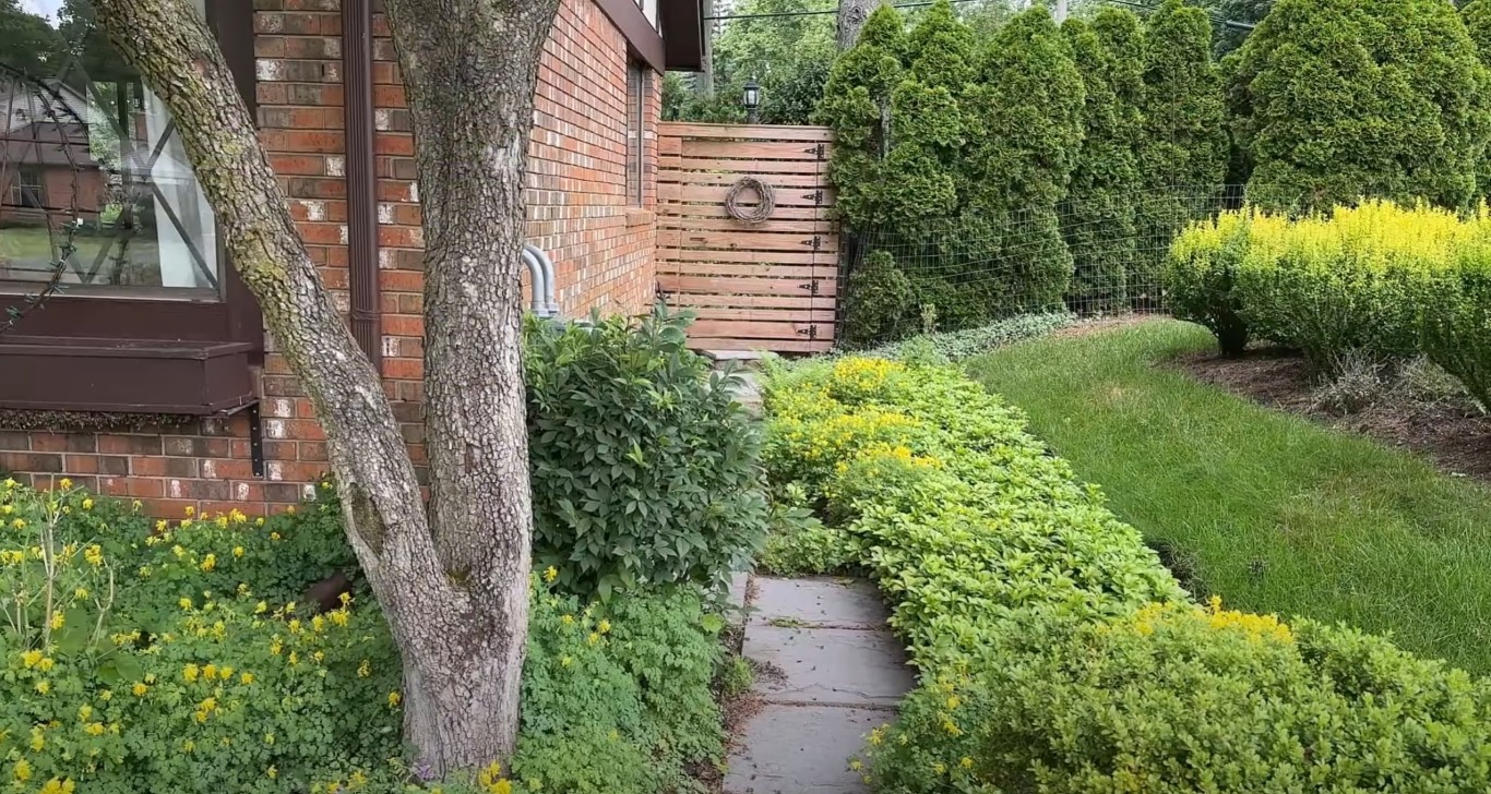 Efficient irrigation system maintaining healthy garden beds in Indio, CA